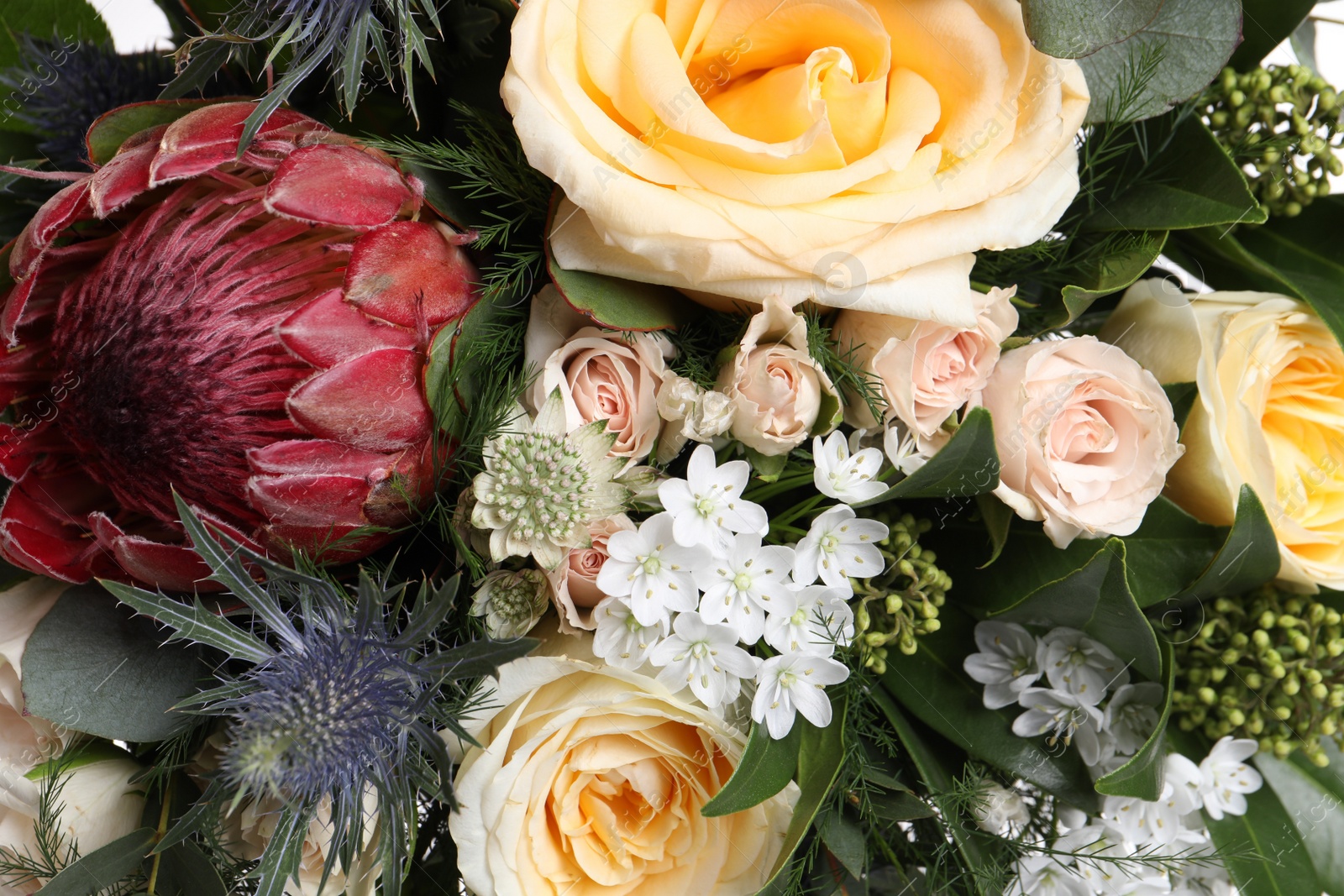 Photo of Beautiful bouquet with roses as background, closeup