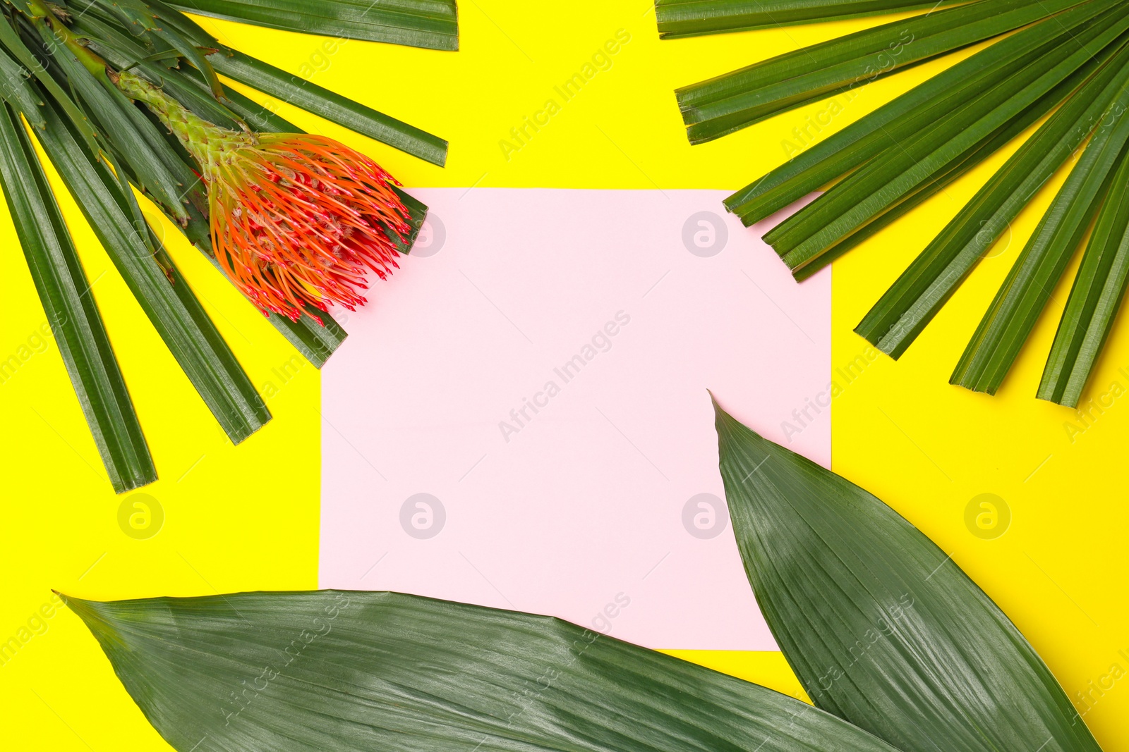 Photo of Creative flat lay composition with tropical leaves and protea flower on yellow background