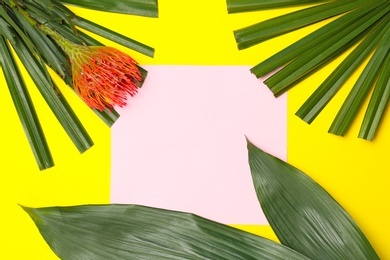 Photo of Creative flat lay composition with tropical leaves and protea flower on yellow background