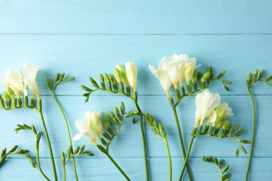 Photo of Beautiful fresh freesia flowers on color background, flat lay