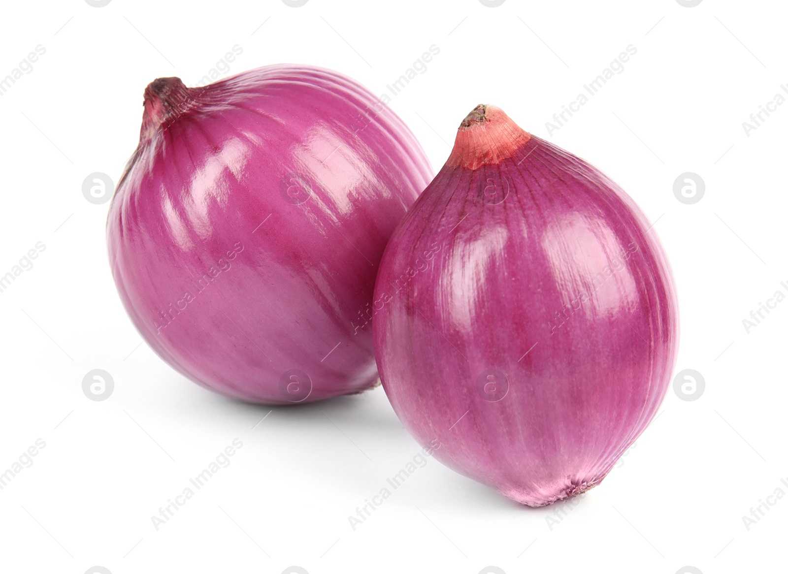 Photo of Fresh whole red onions on white background