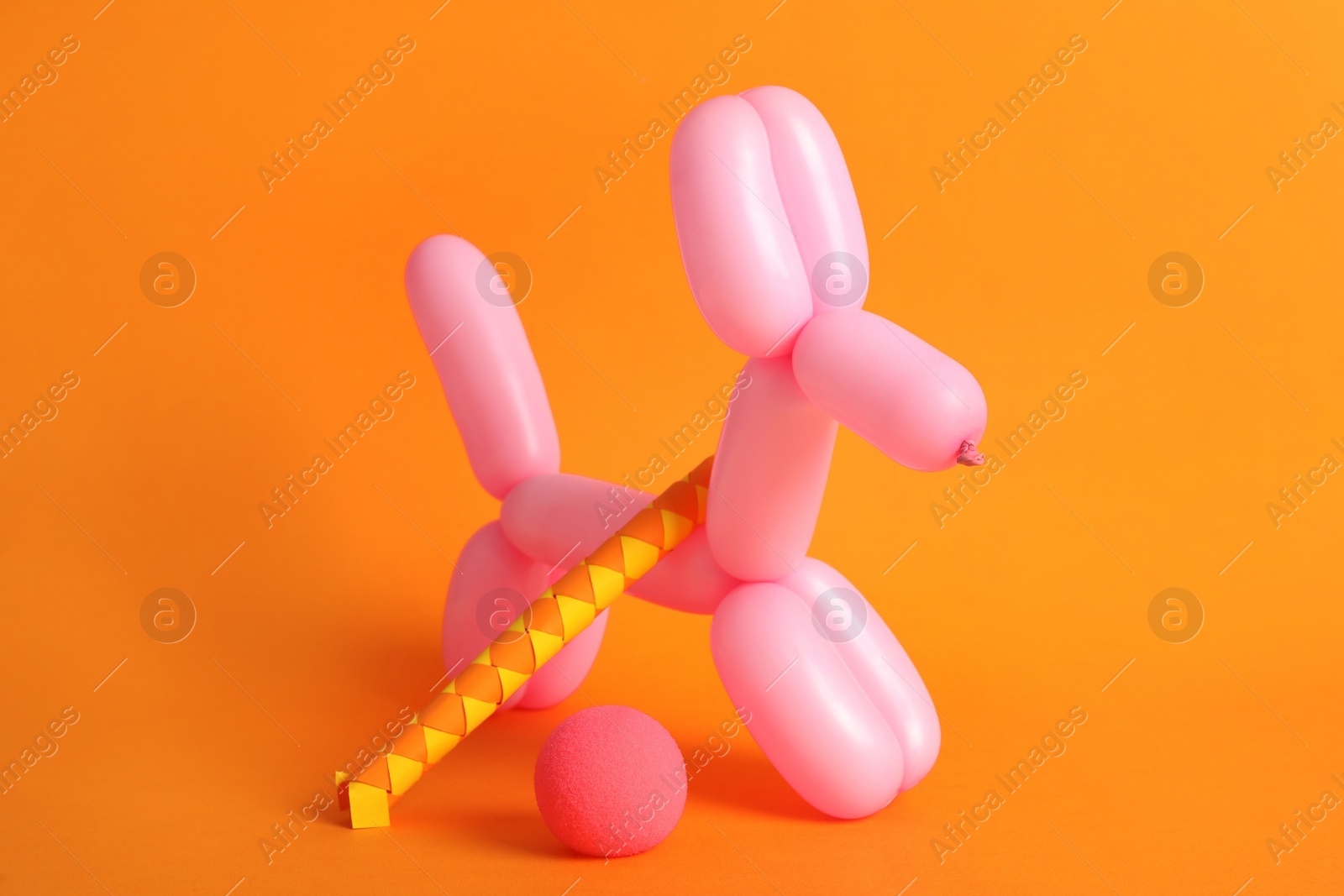 Photo of Dog figure made of modelling balloon and chinese finger trap on orange background