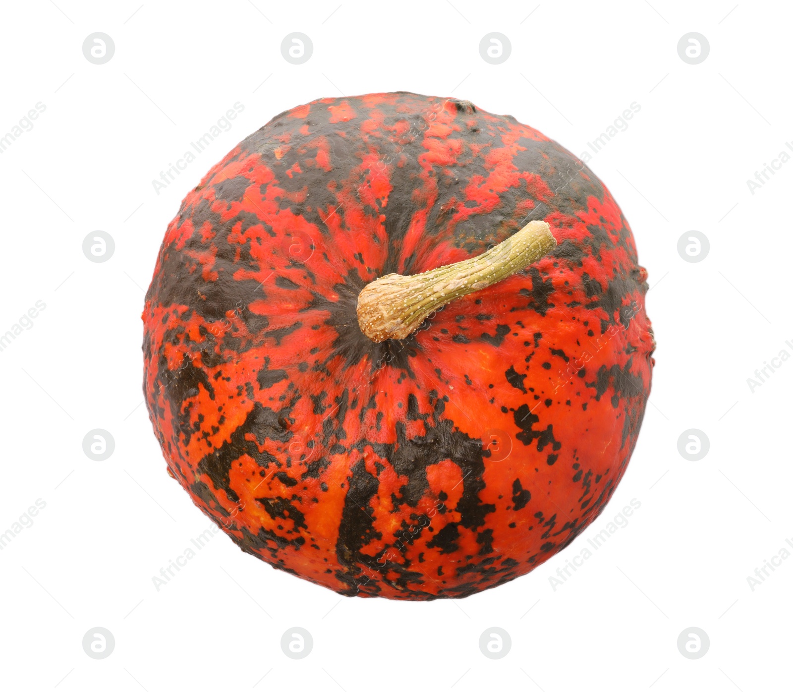 Photo of One fresh orange pumpkin isolated on white, top view