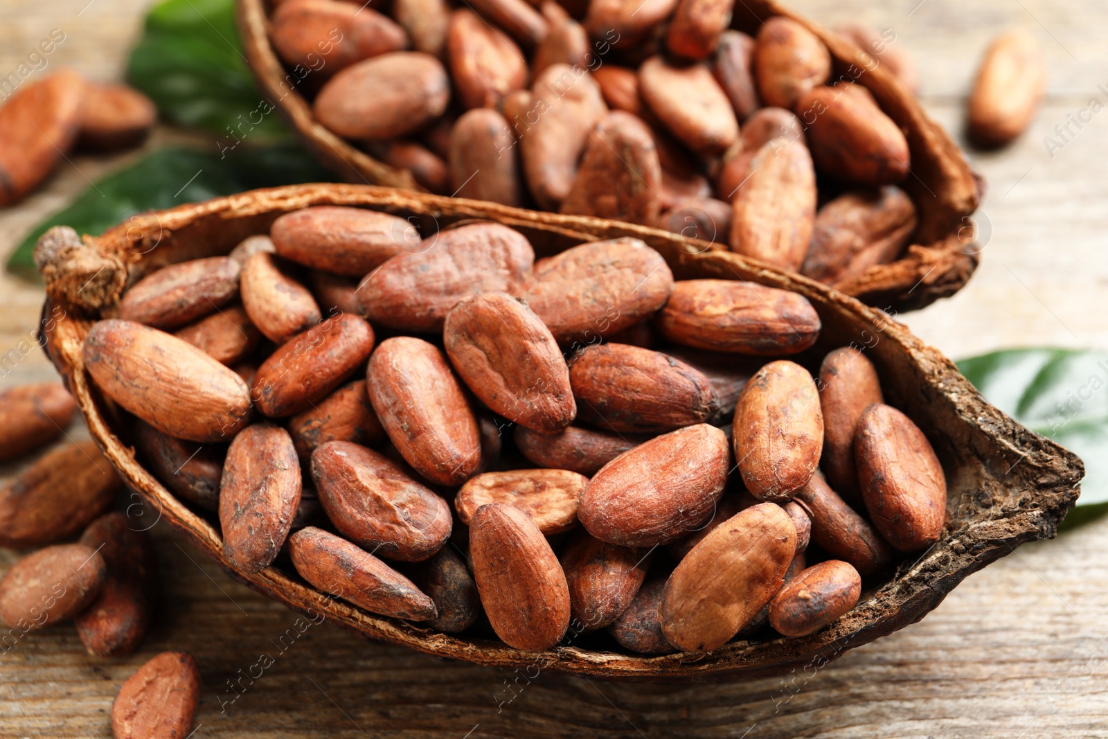 Photo of Cocoa pods and beans on wooden table, closeup