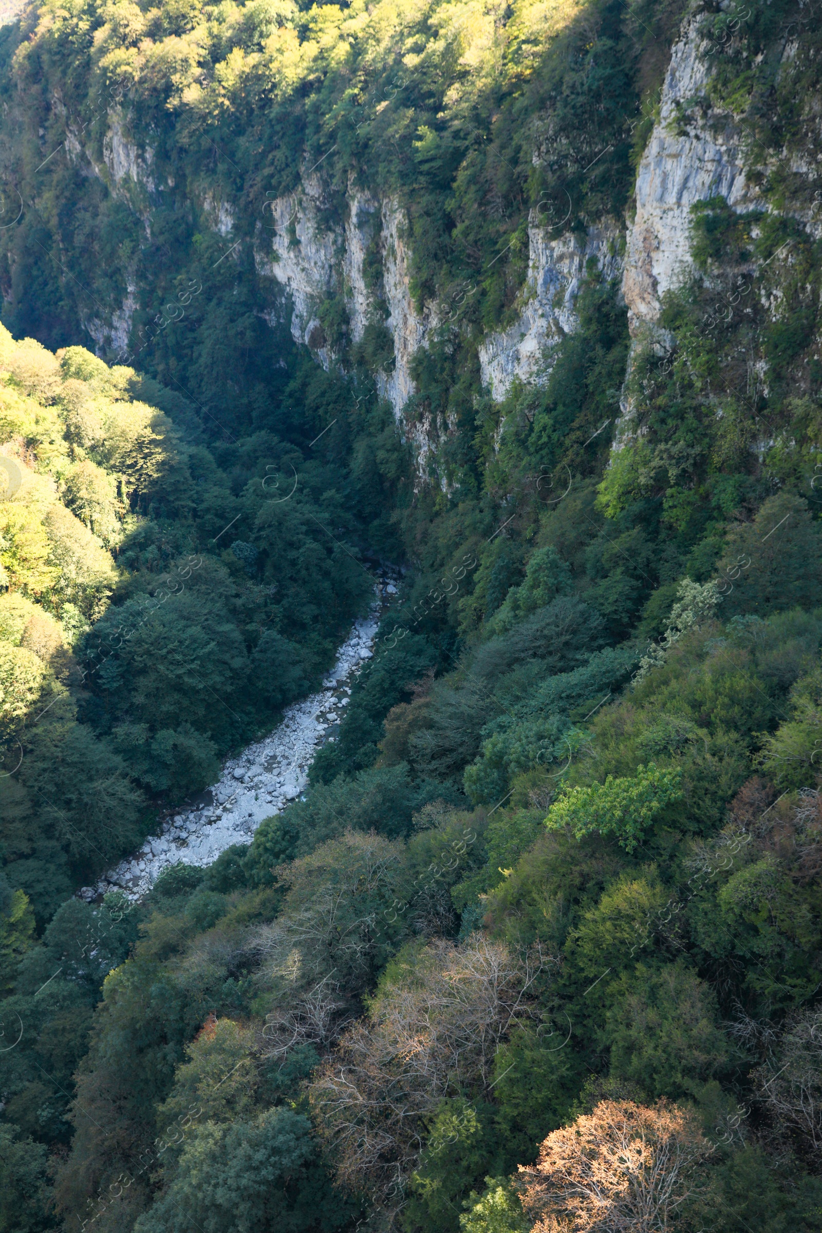 Photo of Beautiful landscape of green forest and mountains