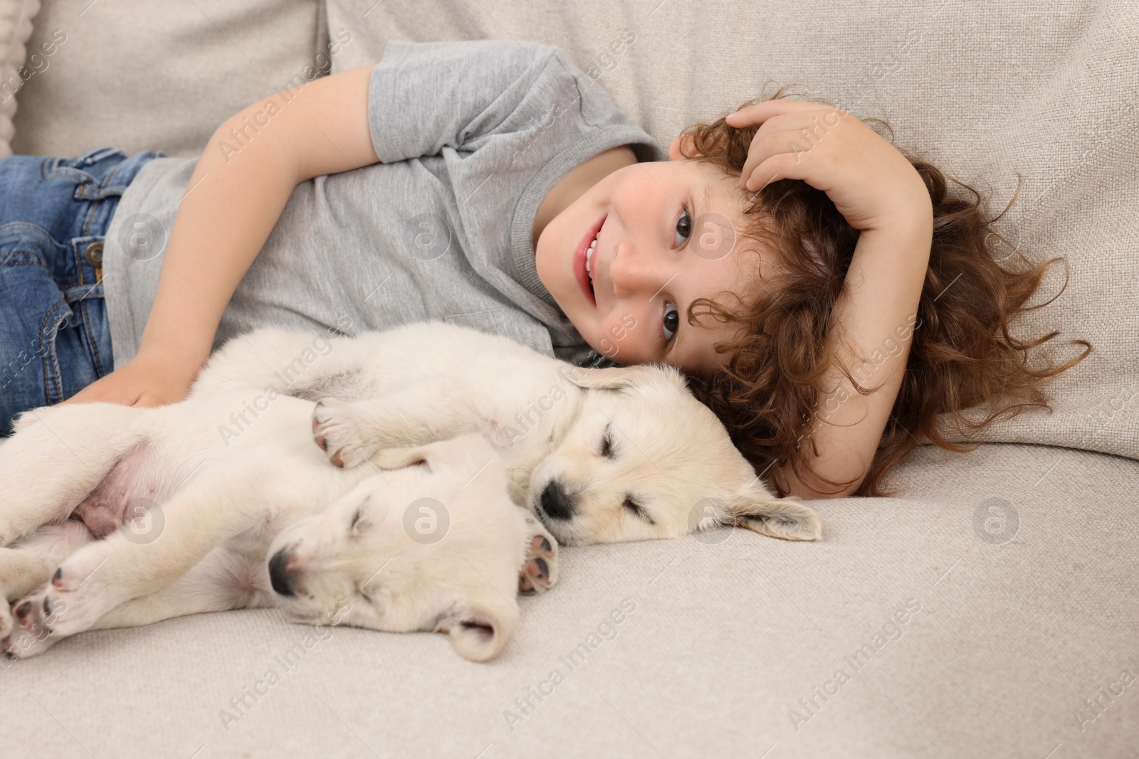 Photo of Little boy lying with cute puppies on couch