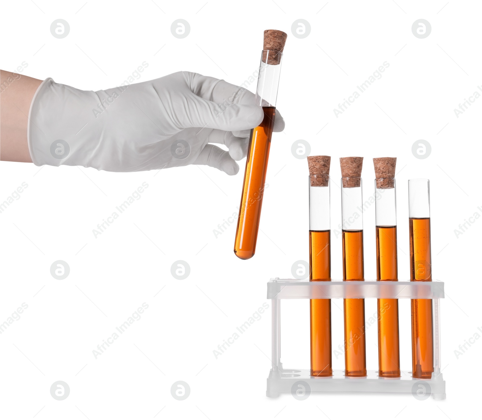 Photo of Scientist holding test tube with brown liquid on white background, closeup