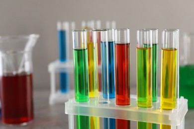 Test tubes with liquids in stand on table against light grey background, closeup