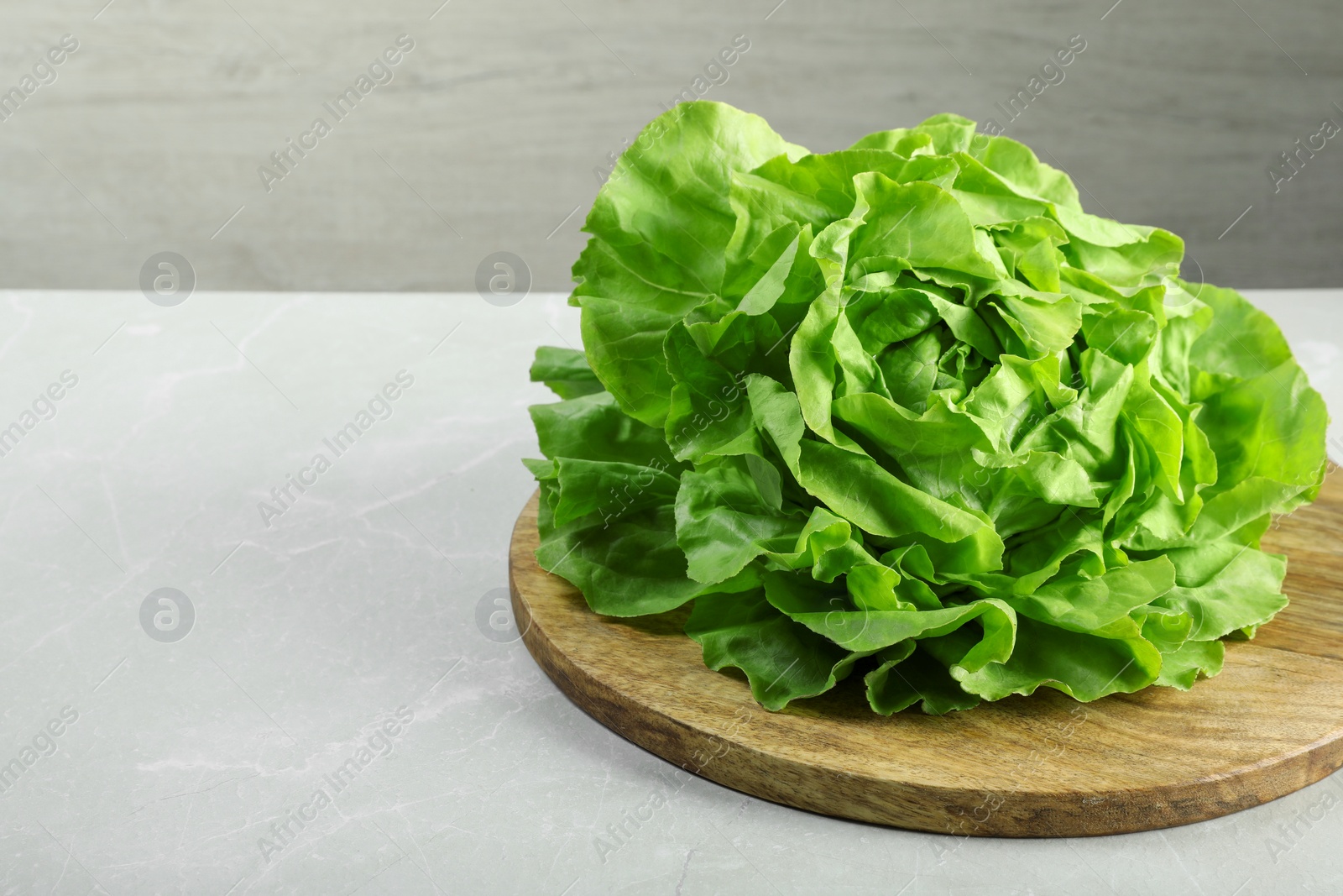 Photo of Fresh green butter lettuce on light table, space for text