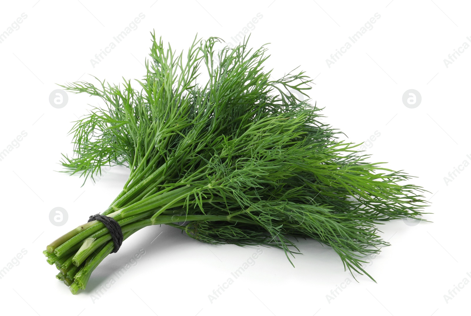 Photo of Bunch of fresh dill isolated on white