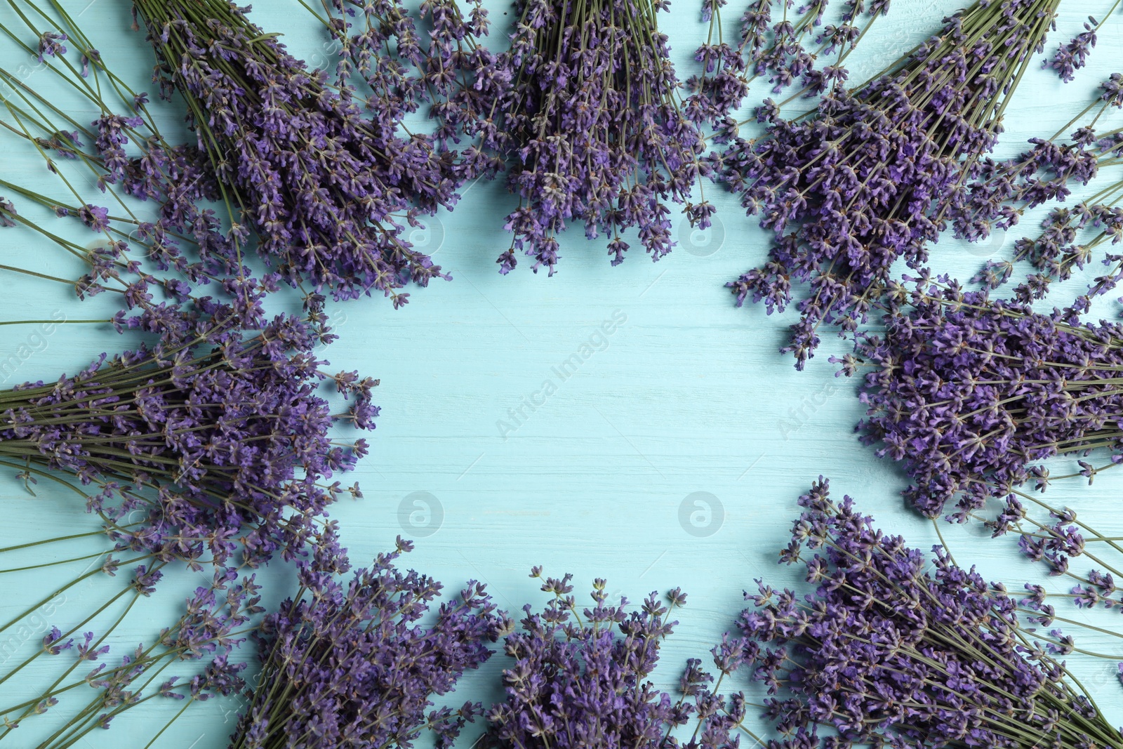 Photo of Frame with lavender flowers on light blue wooden table, flat lay. Space for text