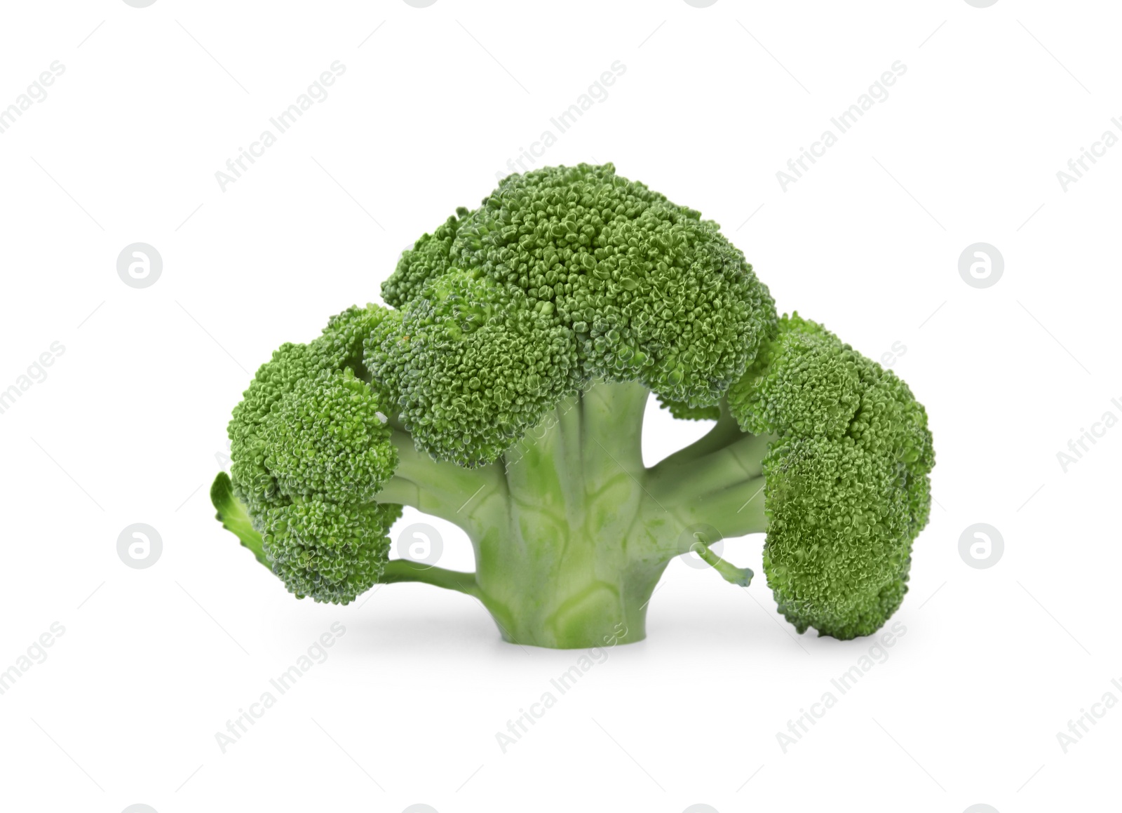 Photo of Fresh raw green broccoli isolated on white