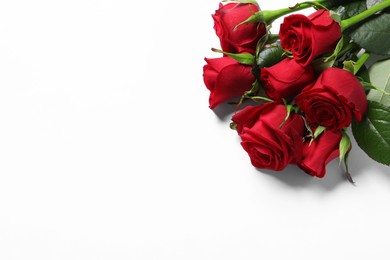 Photo of Beautiful red roses on white background, above view. Space for text