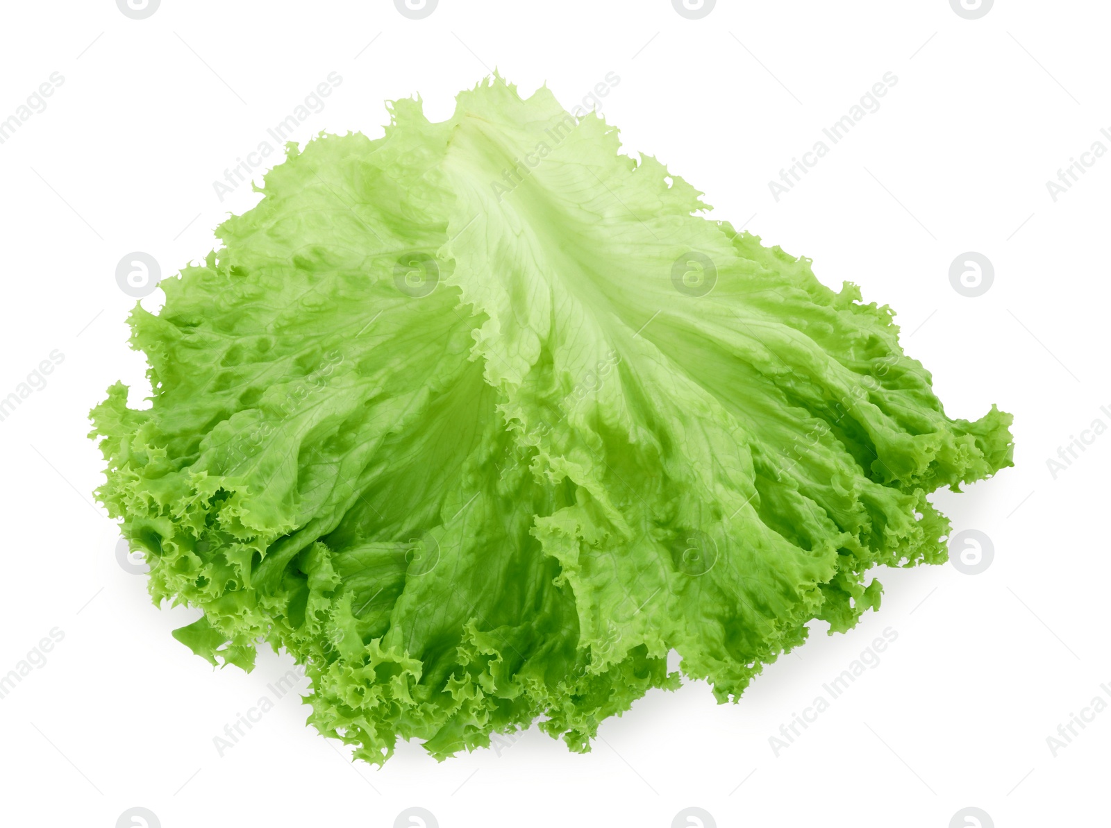 Photo of One green lettuce leaf isolated on white. Salad greens