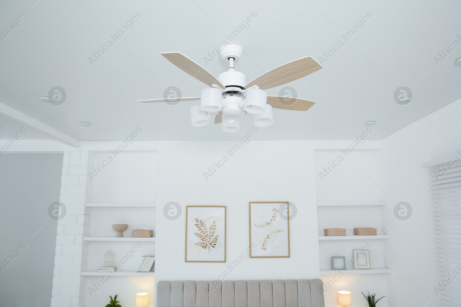 Photo of Ceiling fan with lamps in stylish bedroom, low angle view