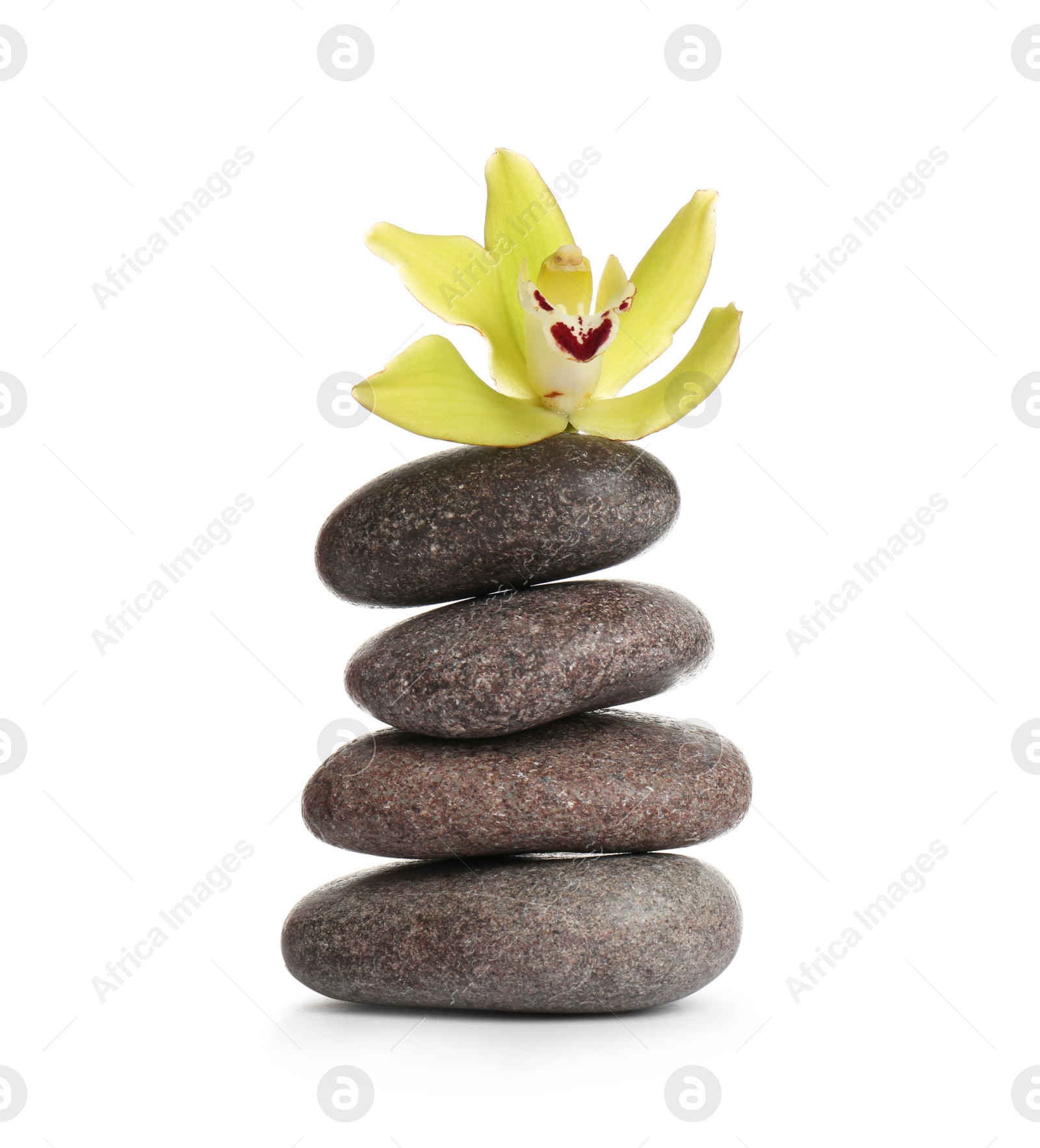 Photo of Spa stones with beautiful orchid flower on white background