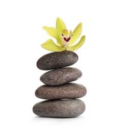 Spa stones with beautiful orchid flower on white background