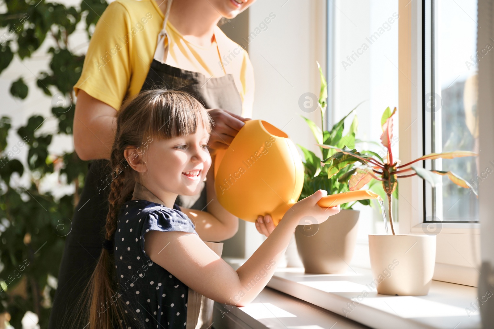 Photo of Mother and daughter watering home plants on windowsill indoors