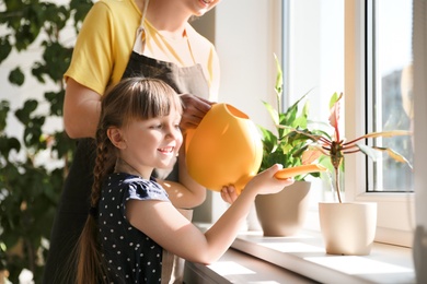 Photo of Mother and daughter watering home plants on windowsill indoors