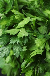 Fresh green parsley leaves as background, closeup