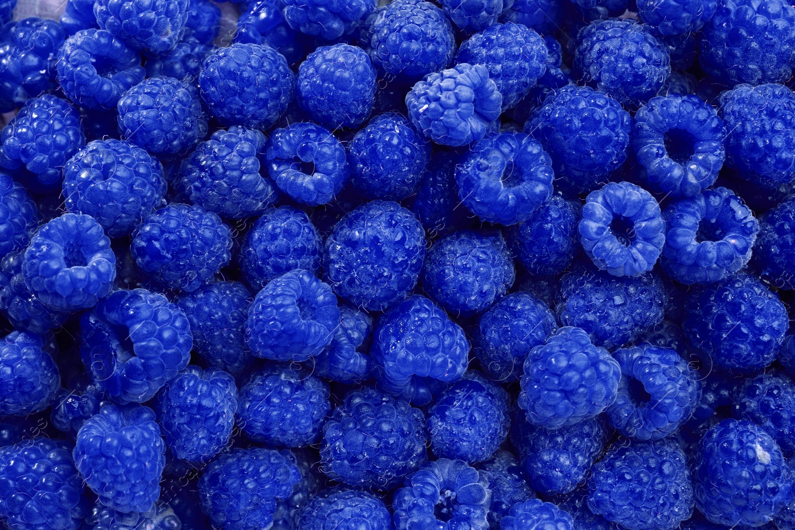 Image of Many fresh blue raspberries as background, top view