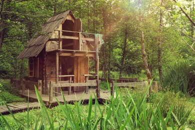 Old wooden hut in beautiful tranquil forest