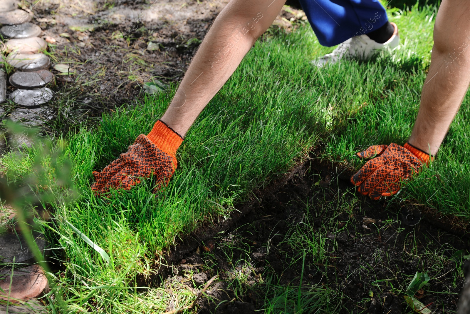 Photo of Gardener laying grass sod on backyard, closeup