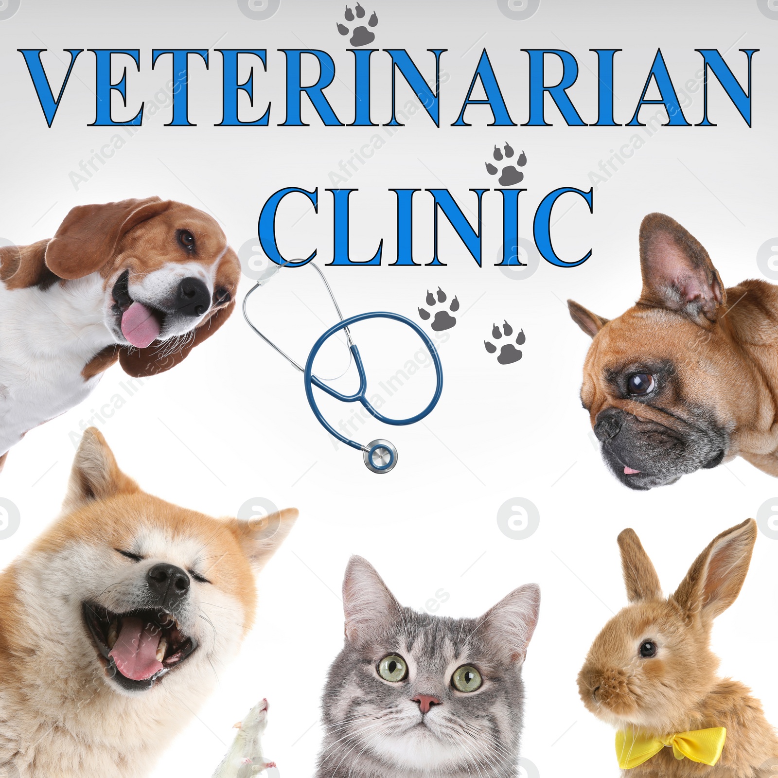 Image of Collage with different cute pets and text VETERINARIAN CLINIC on white background