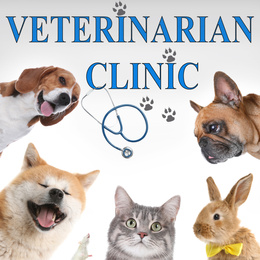 Image of Collage with different cute pets and text VETERINARIAN CLINIC on white background