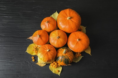 Orange pumpkins on dark background. Autumn holidays