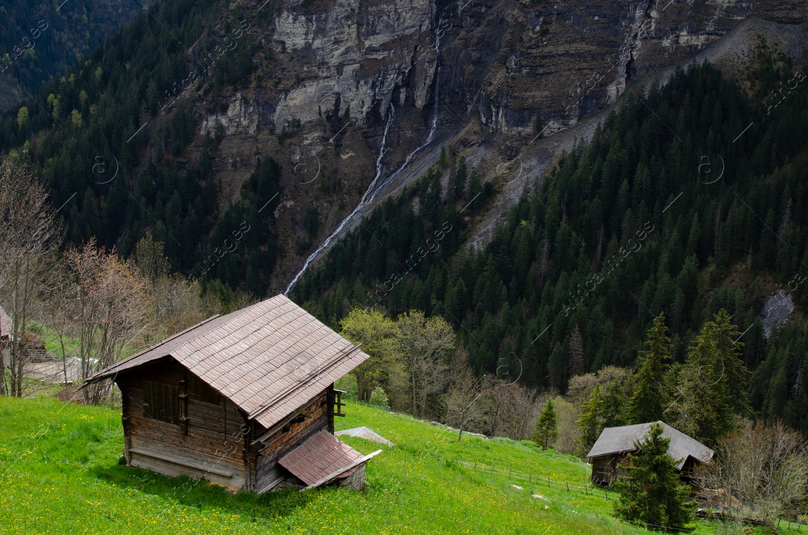 Photo of Picturesque view of valley with houses, pathway and forest in mountains