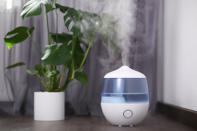 Modern air humidifier near houseplant on floor indoors