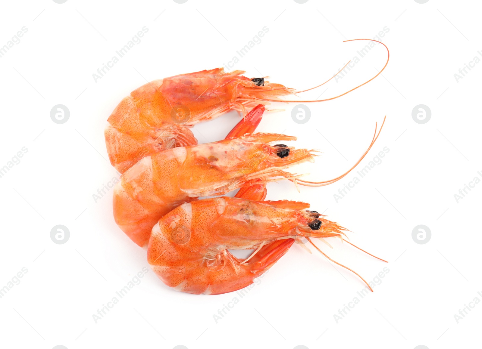 Photo of Delicious cooked shrimps isolated on white, top view