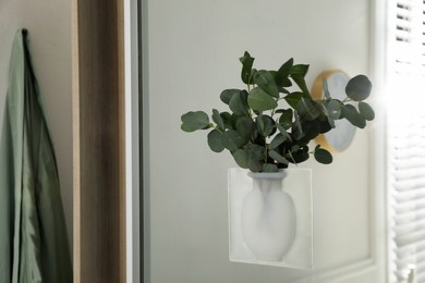 Photo of Silicone vase with beautiful eucalyptus branches on mirror in room, space for text