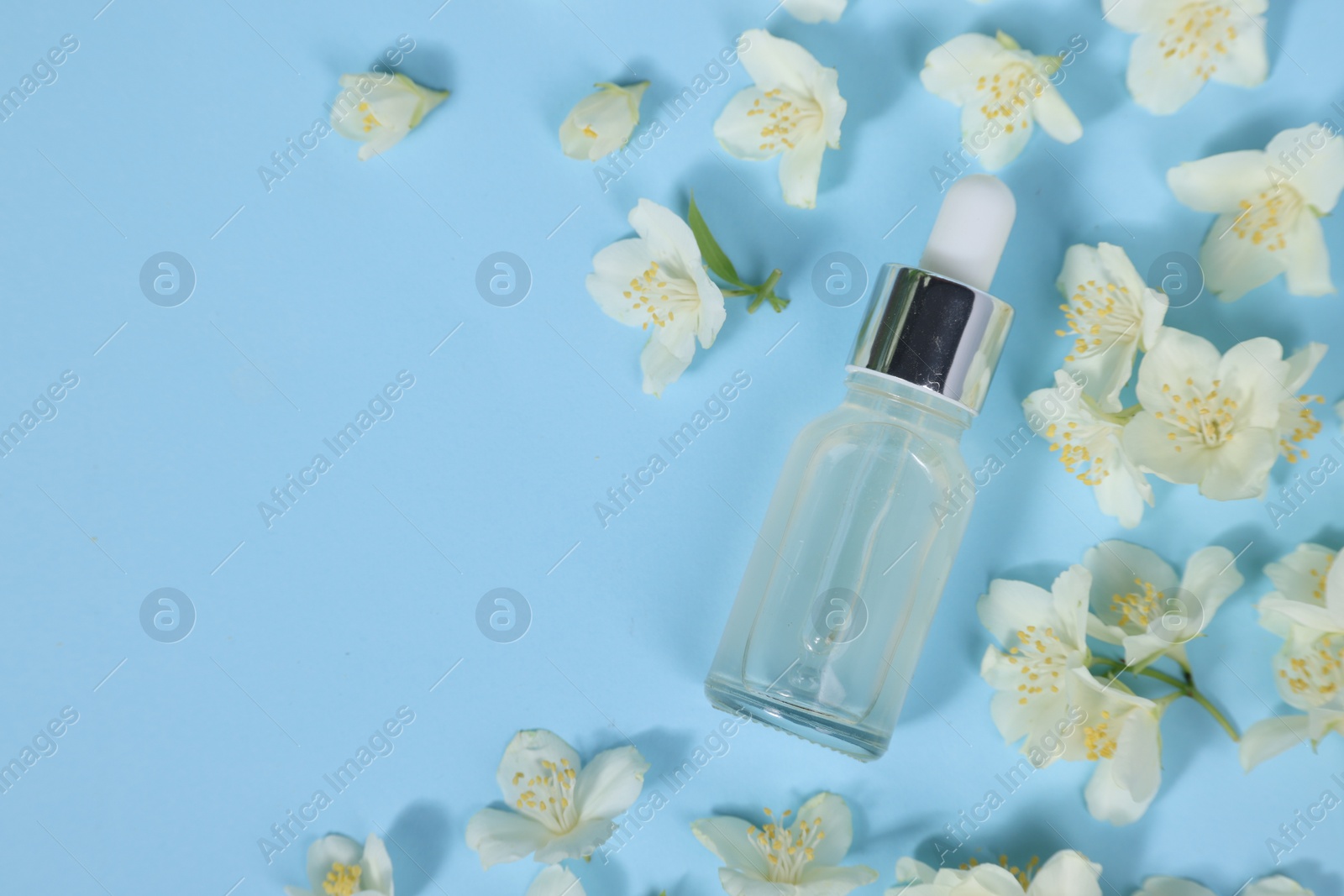 Photo of Essential oil in bottle and beautiful jasmine flowers on light blue background, flat lay. Space for text