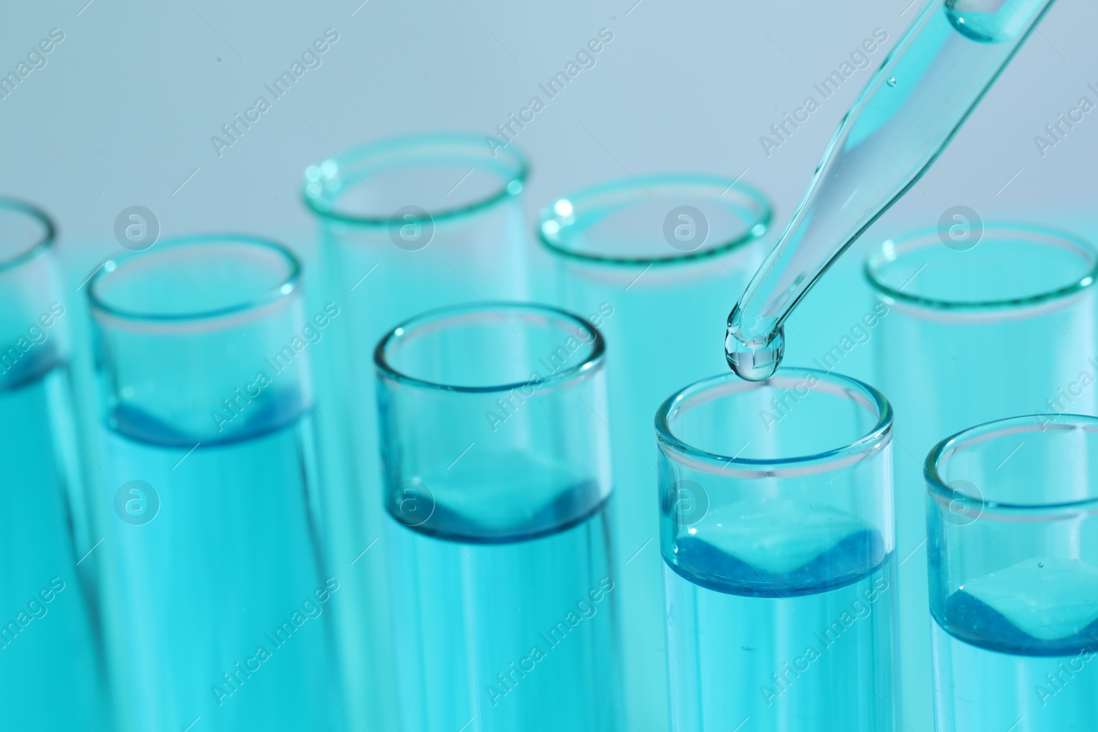 Photo of Dripping liquid from pipette into test tube on blurred background, closeup. Laboratory analysis