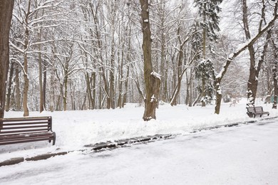 Photo of Trees and benches covered with snow in winter park