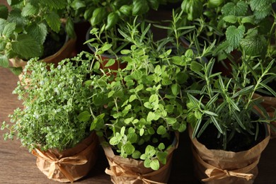 Different aromatic potted herbs on wooden table, closeup