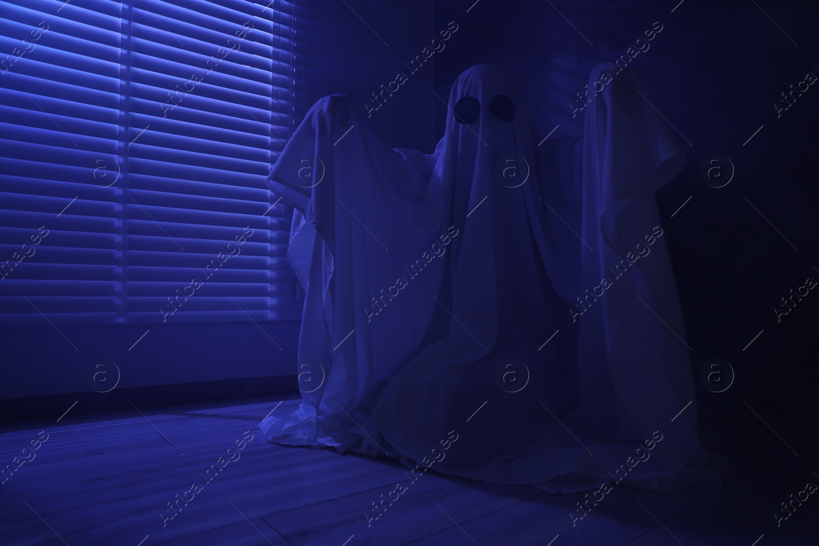 Photo of Creepy ghost. Woman covered with sheet near window in blue light, space for text