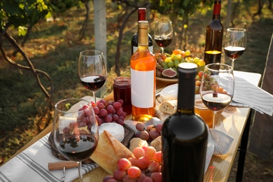 Red wine and snacks served for picnic on wooden table outdoors