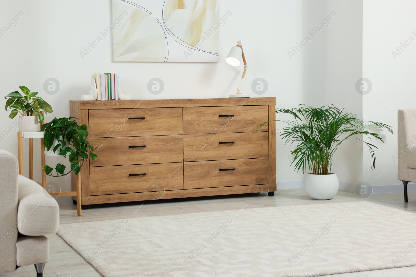 Photo of Stylish living room with wooden chest of drawers, potted plants and beautiful picture. Interior design