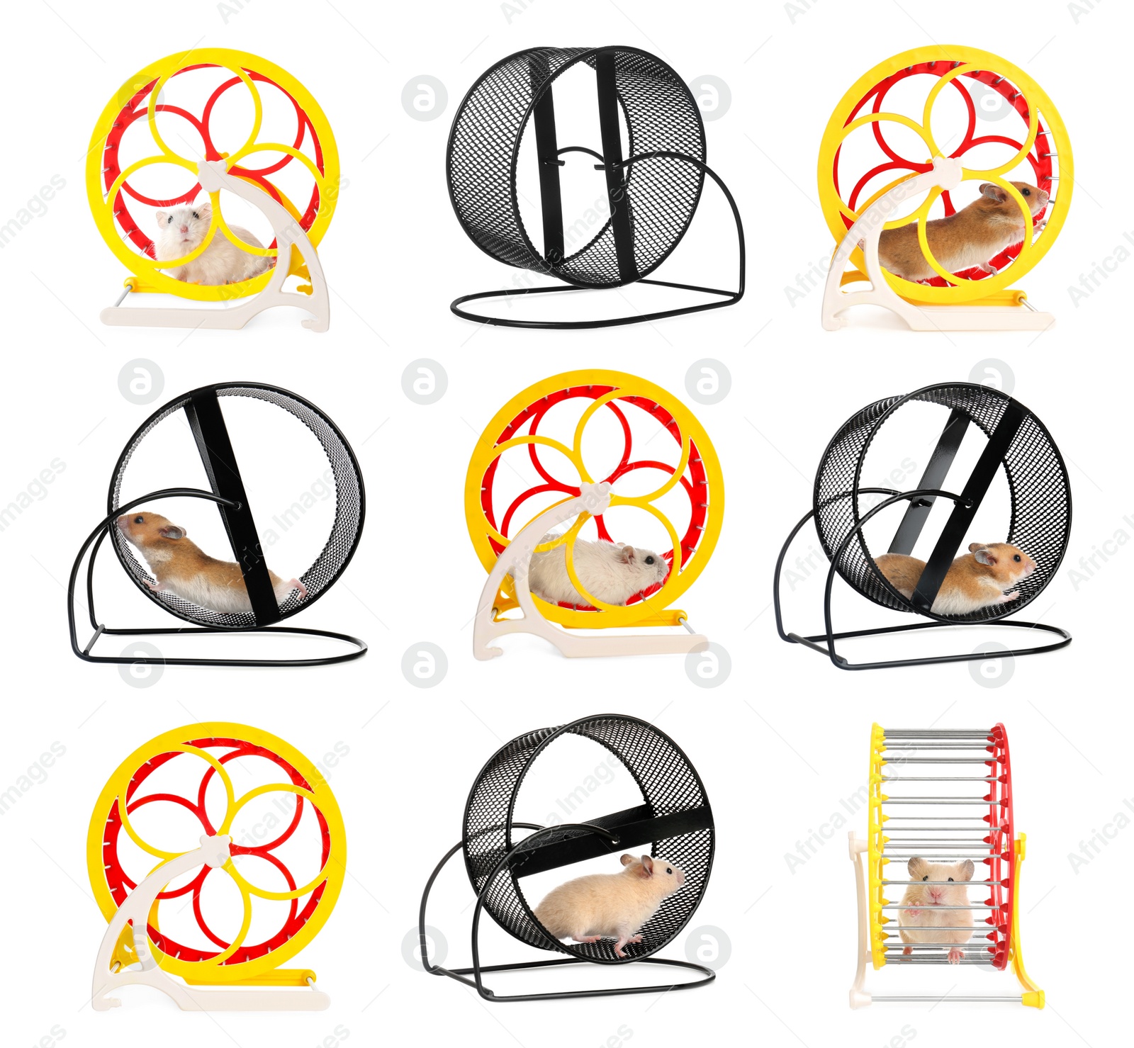 Image of Cute funny hamsters running in wheels on white background, collage