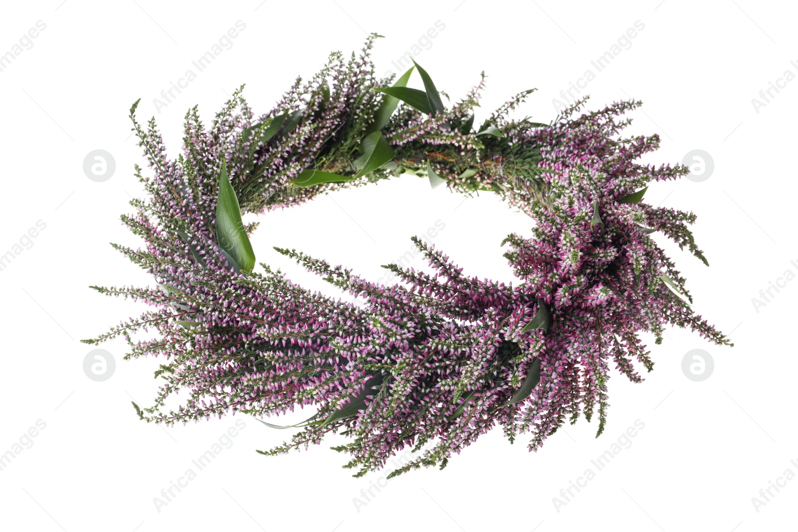 Photo of Beautiful autumnal wreath with heather flowers isolated on white