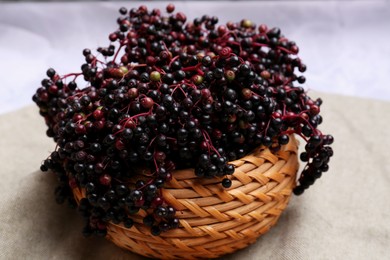 Tasty elderberries (Sambucus) on light grey cloth, closeup