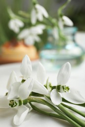 Photo of Beautiful spring snowdrops on light table, closeup
