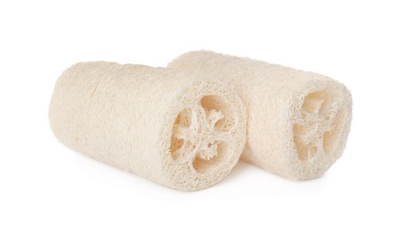 Natural shower loofah sponges on white background