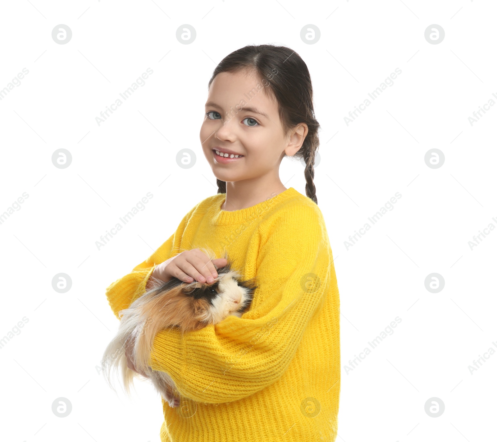 Photo of Happy little girl with guinea pig on white background. Childhood pet