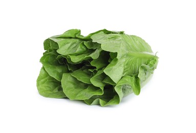 Photo of Fresh green romaine lettuce isolated on white