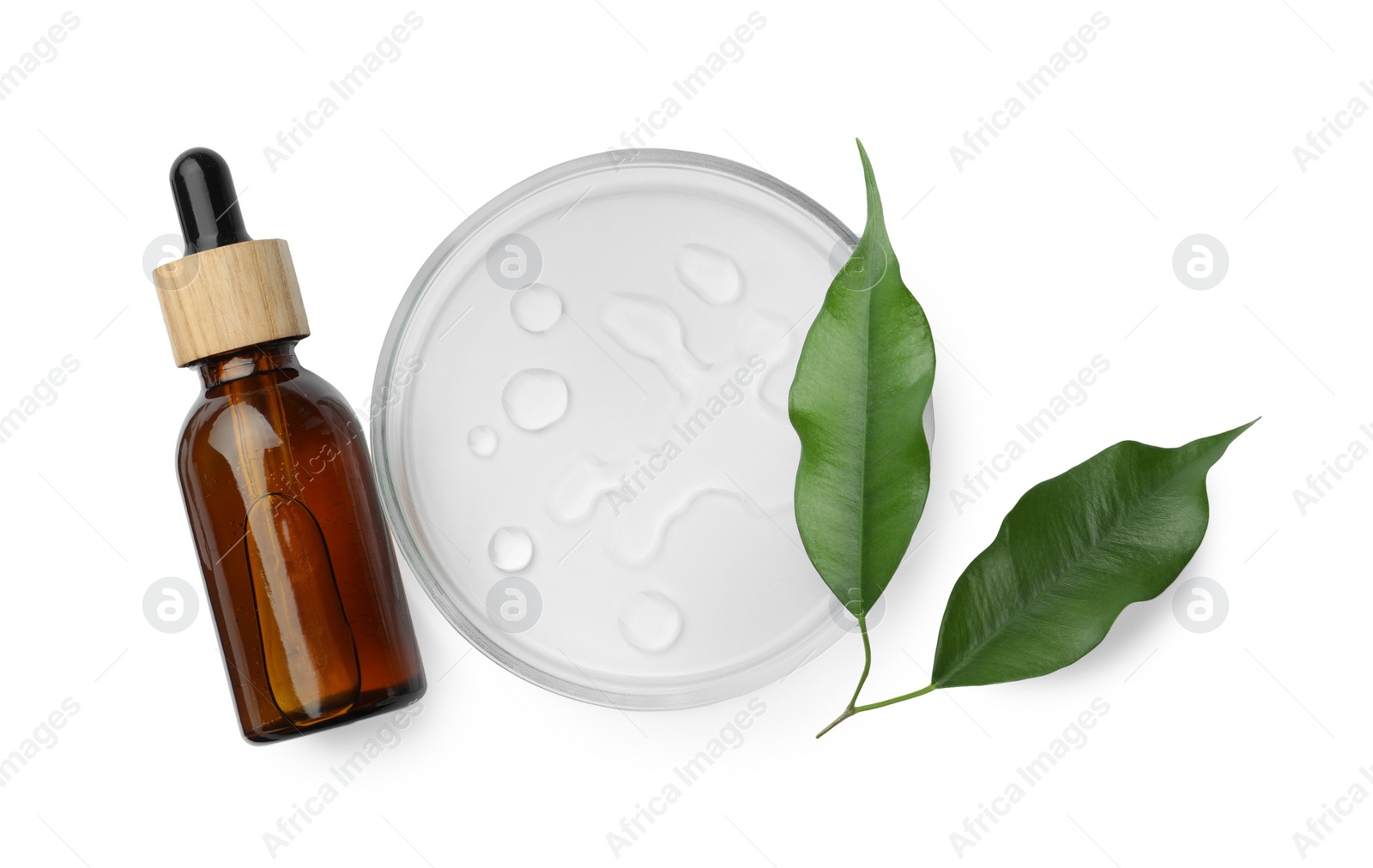 Photo of Petri dish with cosmetic product and leaves on white background, top view