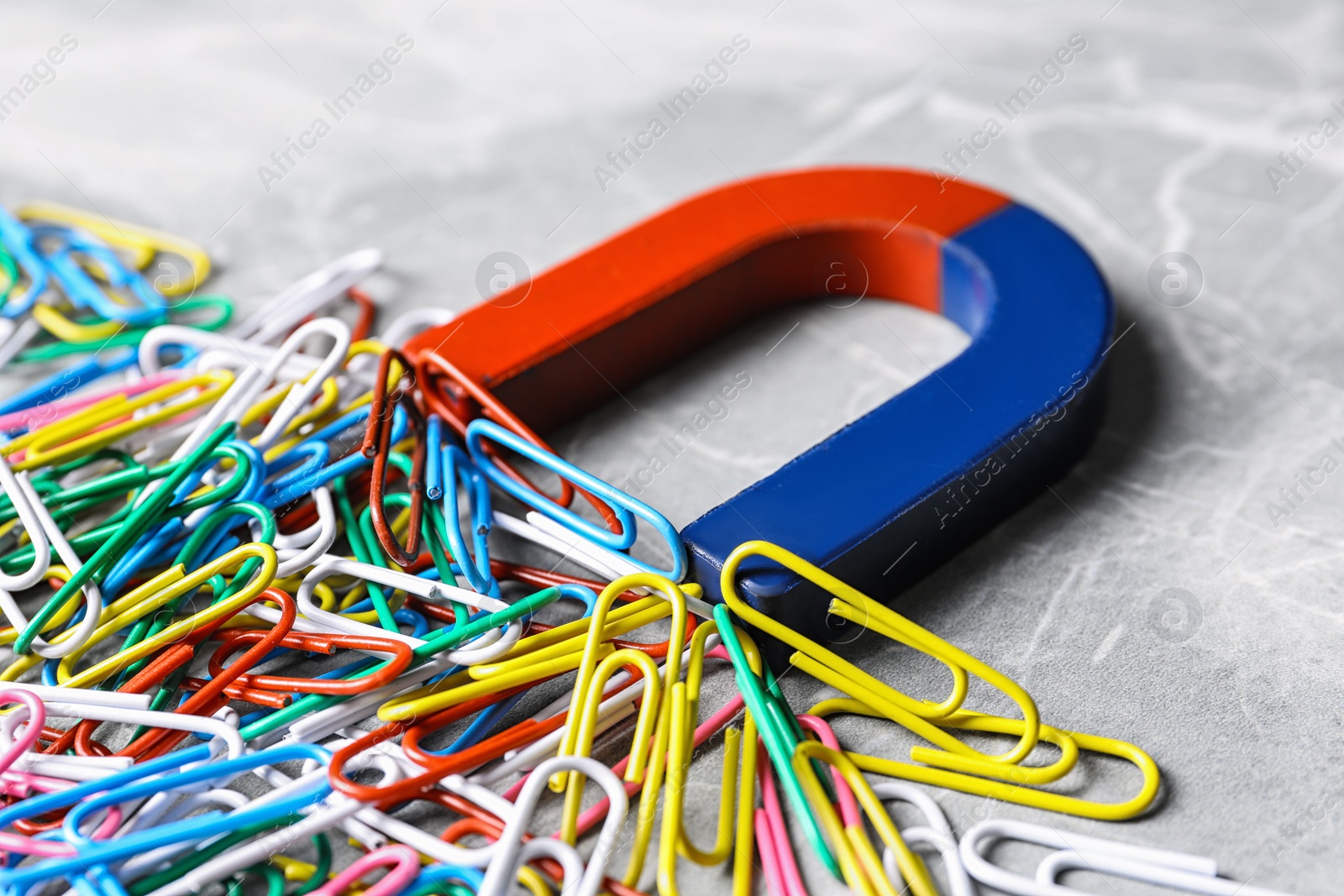 Photo of Red and blue horseshoe magnet attracting colorful paperclips on grey marble background, closeup